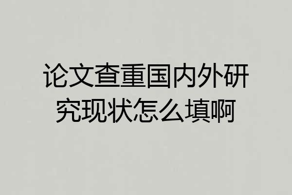 论文查重国内外研究现状怎么填啊