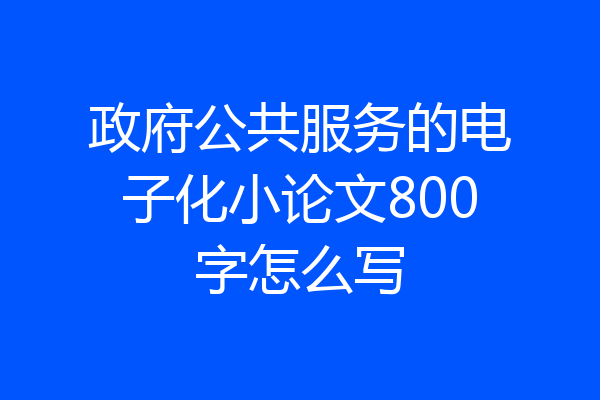 政府公共服务的电子化小论文800字怎么写