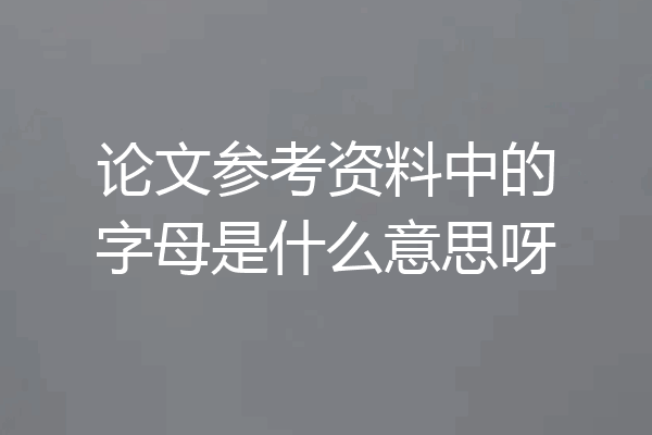 论文参考资料中的字母是什么意思呀