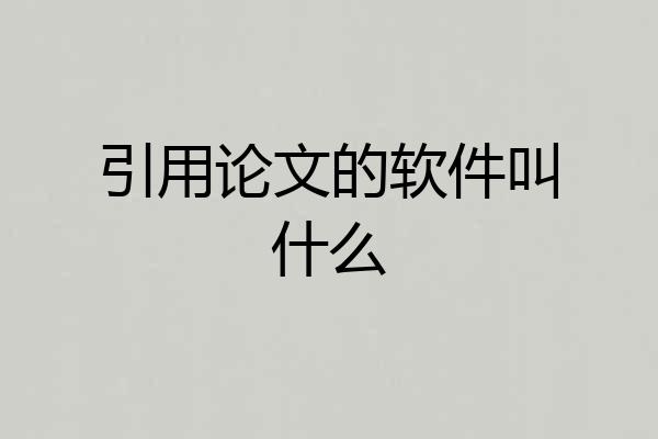 引用论文的软件叫什么