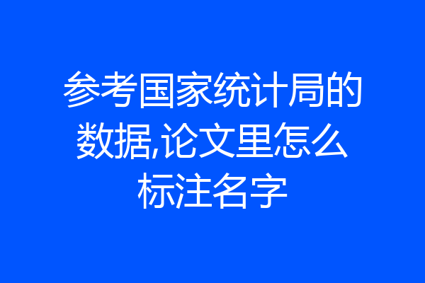 参考国家统计局的数据,论文里怎么标注名字