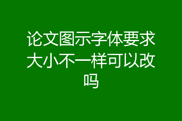 论文图示字体要求大小不一样可以改吗