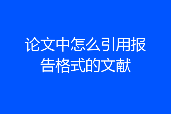 论文中怎么引用报告格式的文献