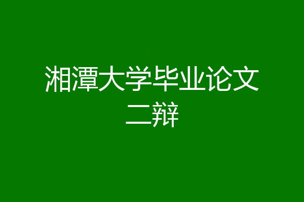 湘潭大学毕业论文二辩