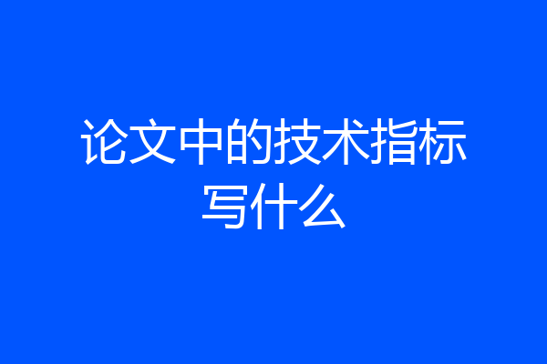 论文中的技术指标写什么