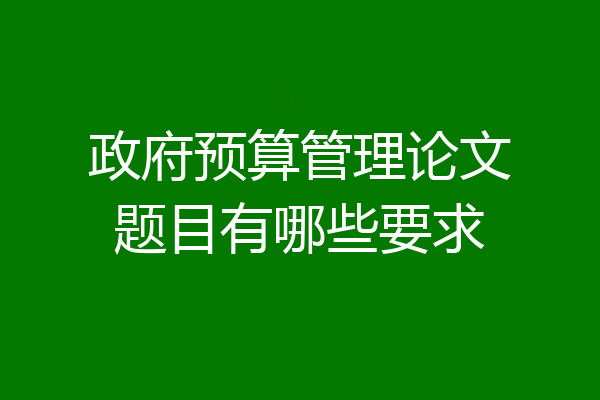 政府预算管理论文题目有哪些要求