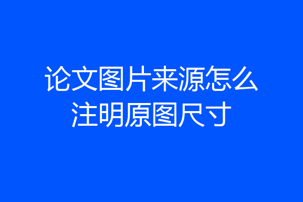 论文图片来源怎么注明原图尺寸
