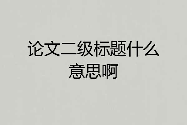 论文二级标题什么意思啊
