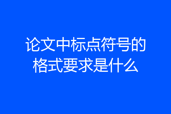 论文中标点符号的格式要求是什么