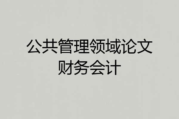 公共管理领域论文财务会计