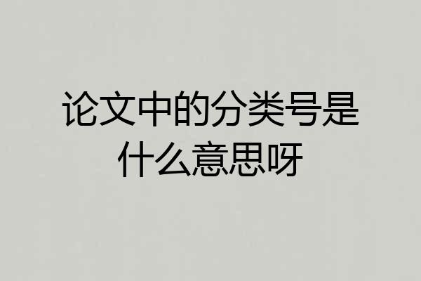 论文中的分类号是什么意思呀