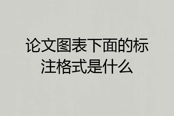 论文图表下面的标注格式是什么