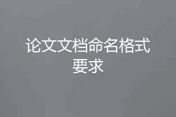 论文文档命名格式要求