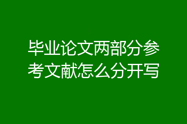 毕业论文两部分参考文献怎么分开写
