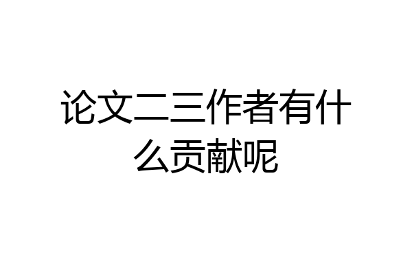 论文二三作者有什么贡献呢