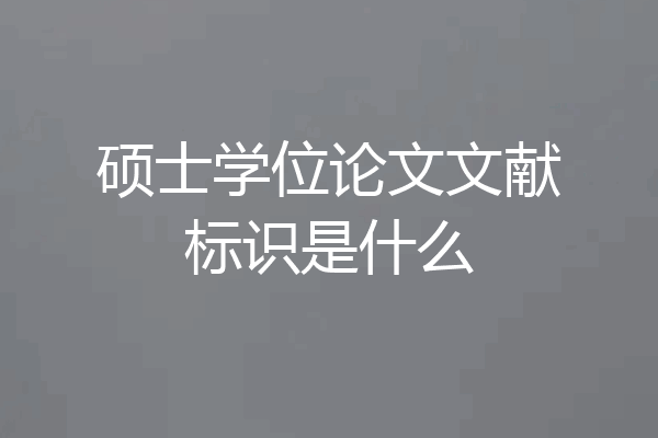 硕士学位论文文献标识是什么