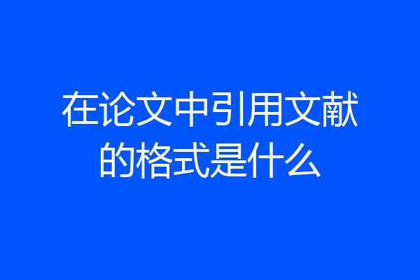 在论文中引用文献的格式是什么