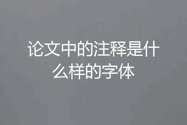 论文中的注释是什么样的字体