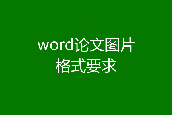 word论文图片格式要求