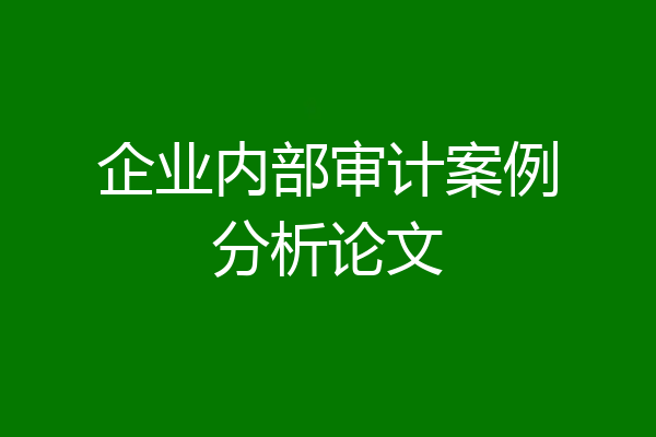 企业内部审计案例分析论文