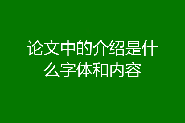 论文中的介绍是什么字体和内容