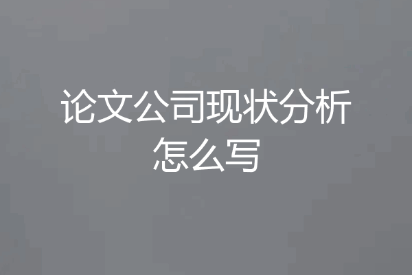 论文公司现状分析怎么写