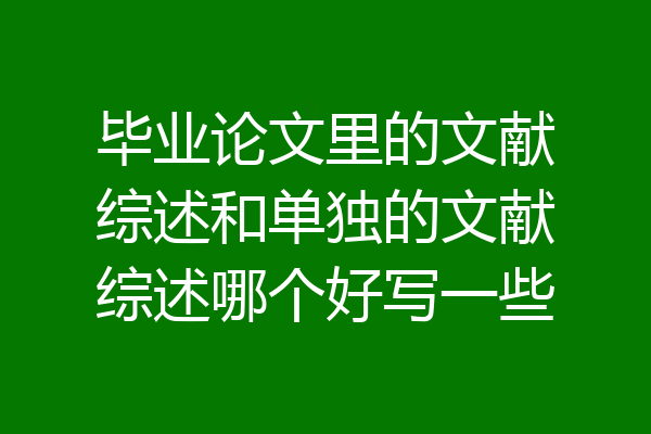 毕业论文里的文献综述和单独的文献综述哪个好写一些