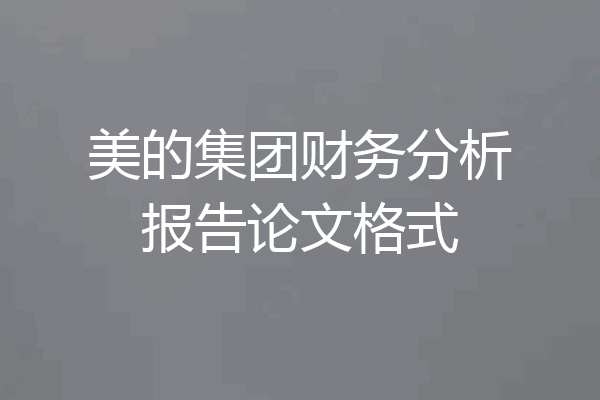 美的集团财务分析报告论文格式