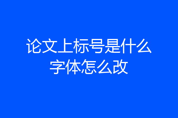 论文上标号是什么字体怎么改