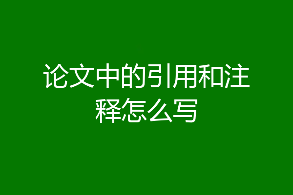论文中的引用和注释怎么写