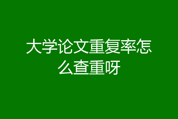 大学论文重复率怎么查重呀