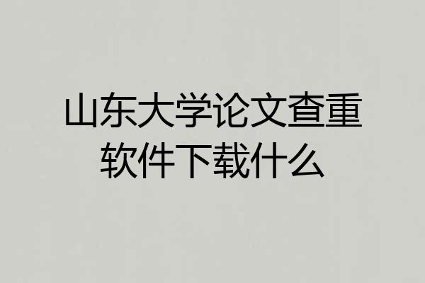 山东大学论文查重软件下载什么