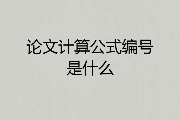 论文计算公式编号是什么