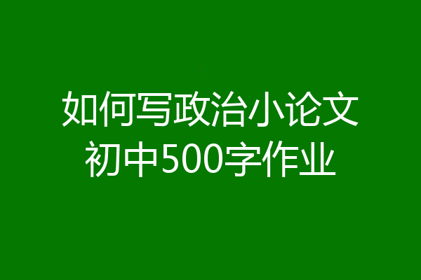 如何写政治小论文初中500字作业
