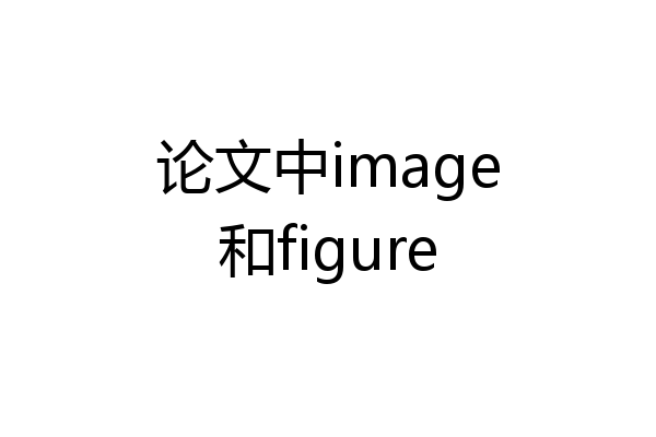 论文中image和figure