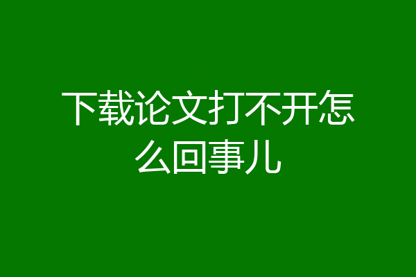 下载论文打不开怎么回事儿