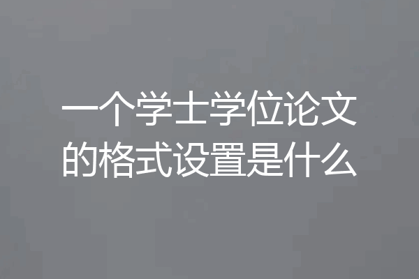 一个学士学位论文的格式设置是什么