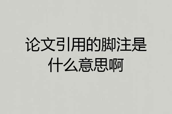 论文引用的脚注是什么意思啊