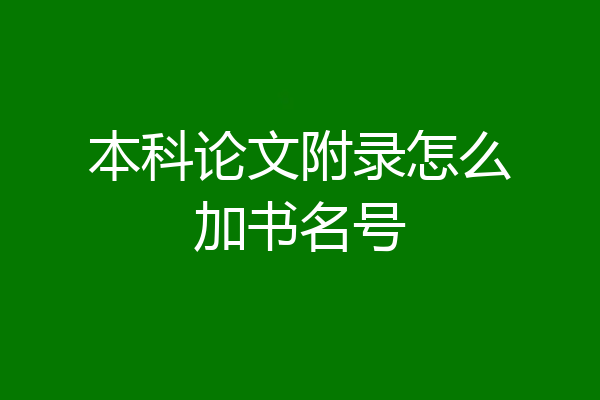 本科论文附录怎么加书名号