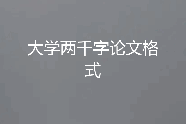 大学两千字论文格式