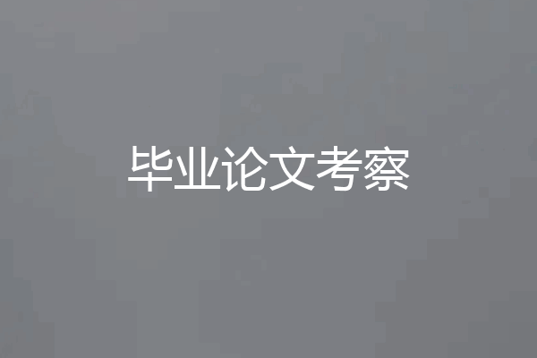 毕业论文考察