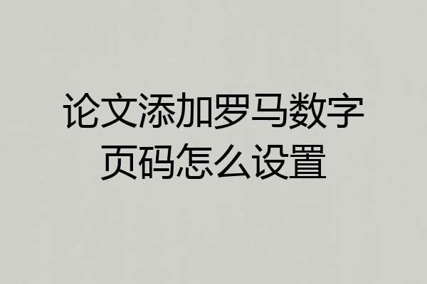论文添加罗马数字页码怎么设置