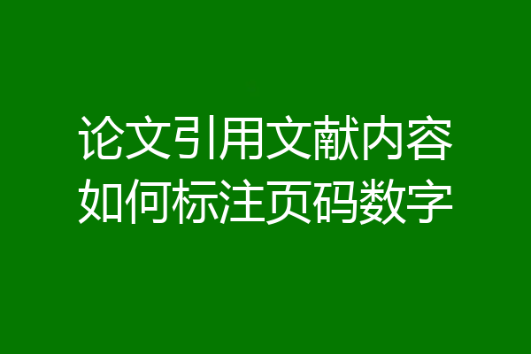 论文引用文献内容如何标注页码数字