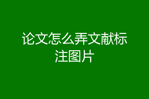 论文怎么弄文献标注图片