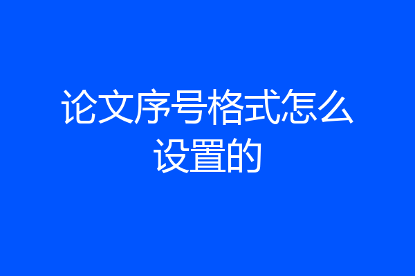 论文序号格式怎么设置的