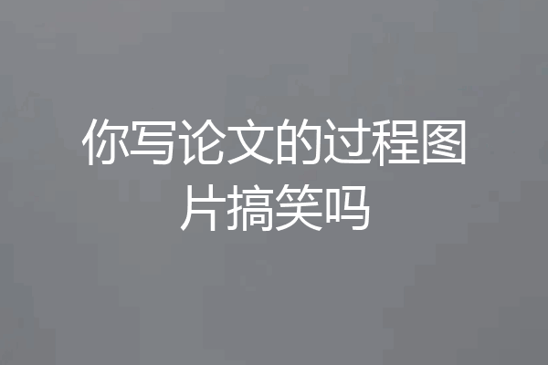 你写论文的过程图片搞笑吗