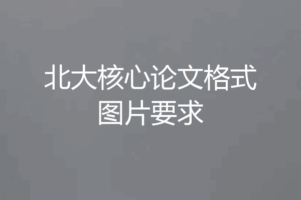 北大核心论文格式图片要求