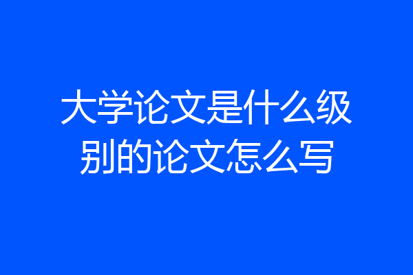 大学论文是什么级别的论文怎么写