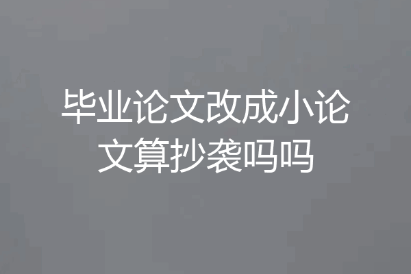 毕业论文改成小论文算抄袭吗吗