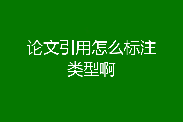 论文引用怎么标注类型啊